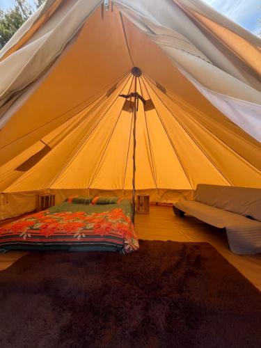 Ensenada Other | Glamping Peumayen Chucao