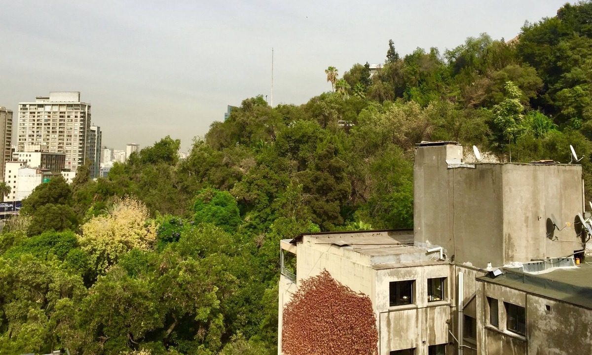 Lastarria Apartment | Great And Cozy Apartment In Downtown Santiago