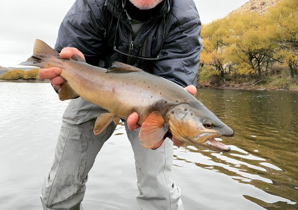 Junin de los Andes Ski Chalet | Great Views Fly Fishing Cabin Chimehuín Patagonia