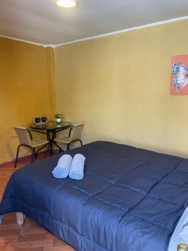 Curico Hotel | Habitación doble Love