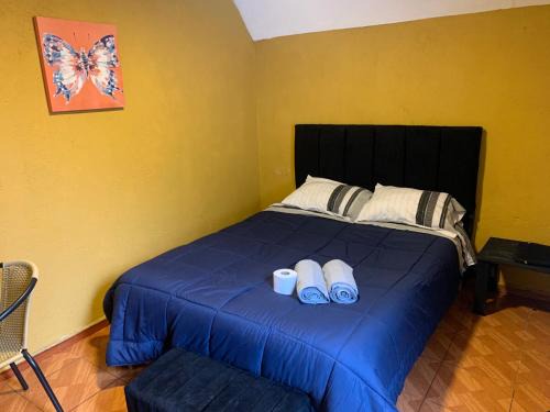 Curico Hotel | Habitación doble Love