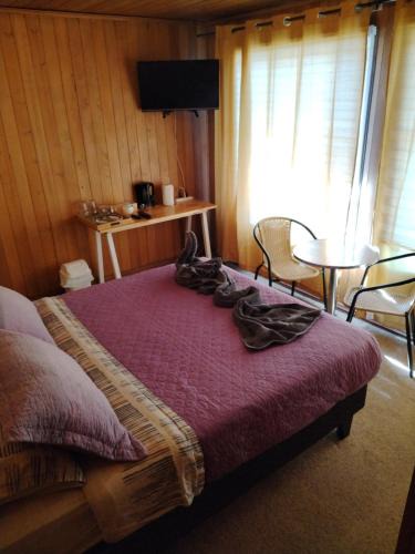 Castro House | Habitacion Ciprés