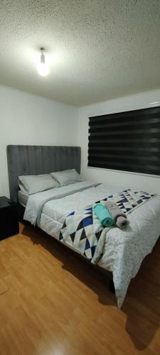 Curico House | Habitaciones Privadas en Curico