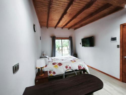 Pucon Apartment | Hermosa cabaña Pucon Caburga 2