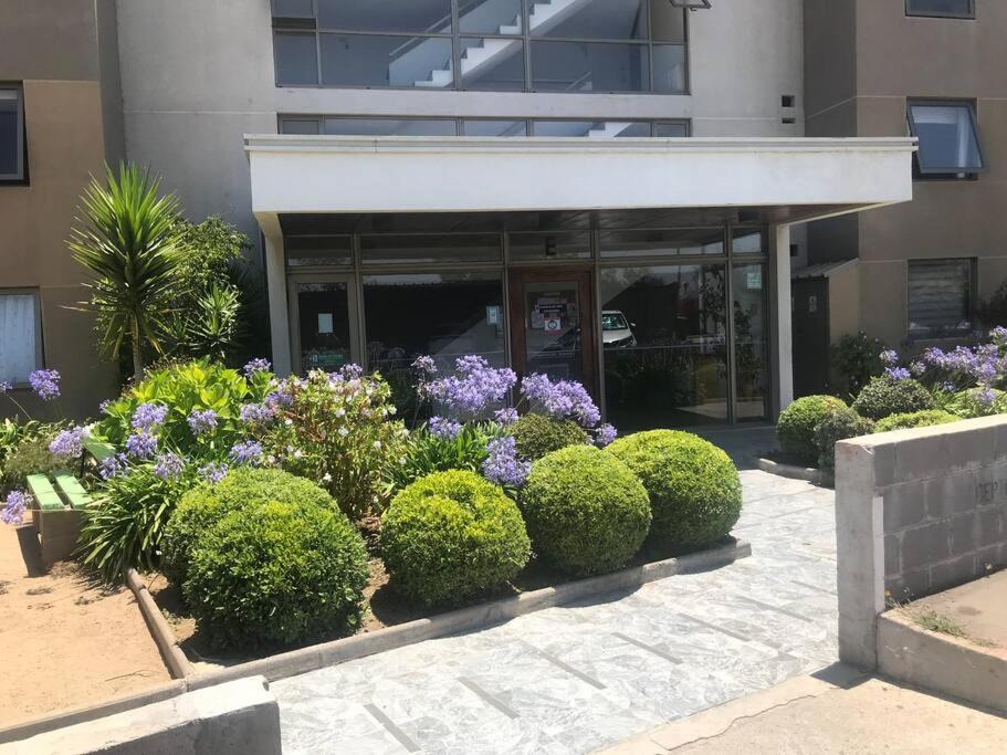 Placeres Apartment | Hermoso DEPTO en Viña del Mar