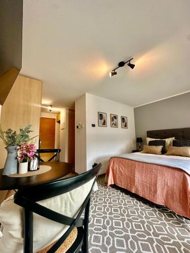 Concepcion Apartment | Hermoso Estudio