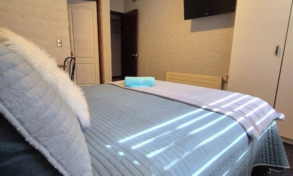 Temuco Hostel | HOSTAL DEL BOSQUE TEMUCO