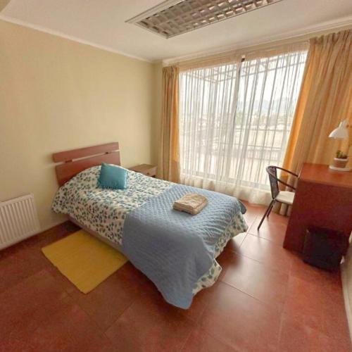 Concepcion House | Hostal PdeV
