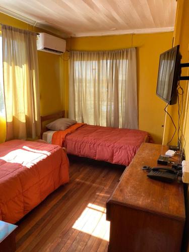 Molina Hostel | Hostal Radal Molina