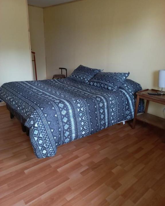 Valdivia House | Hostal San Francisco