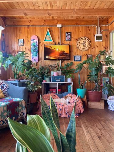 Navidad House | Hostal waiwen
