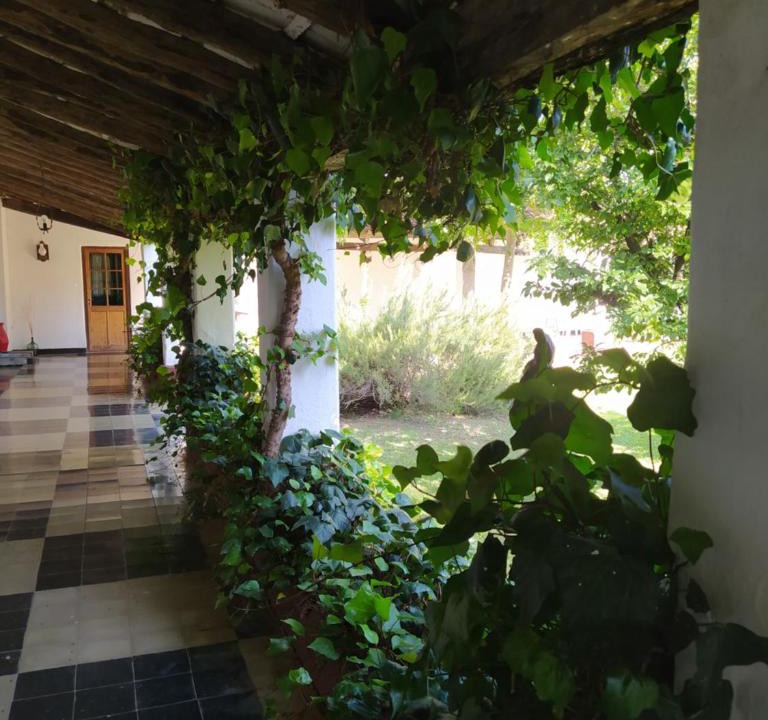 Nono Hotel | Hotel del Alto