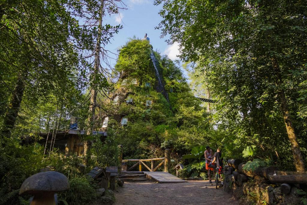 Neltume Cabin | Huilo Huilo Montaña Mágica