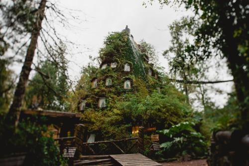 Neltume Cabin | Huilo Huilo Montaña Mágica