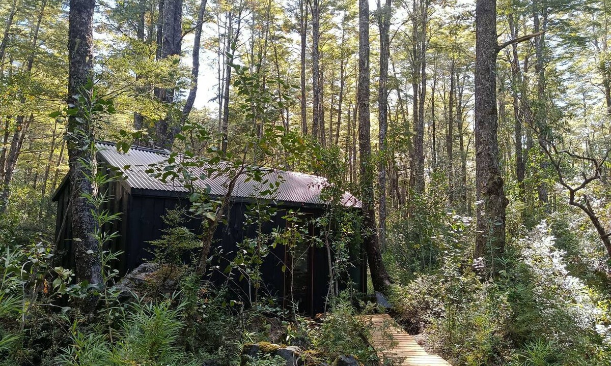 Curarrehue Cabin | Komorebi Lodge | River, forest, clay tub, breakfast, transportation. All-inclusive