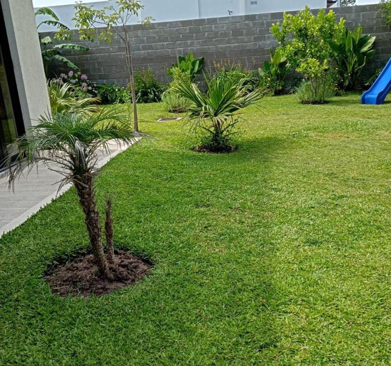 Gualeguaychu Apartment | La Aldeana