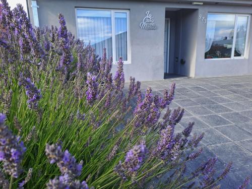 Macrozona Bahia Redonda y Primeros Faldeos Apartment | La Casa de Marite Apart, un lugar para disfrutar