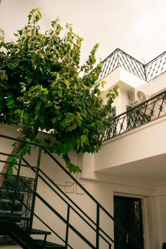 Salta Hotel | La Casona del Monumento