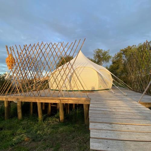 Litueche Other | La Colmena Glamping