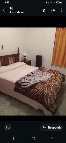 Federacion Apartment | La tana 2