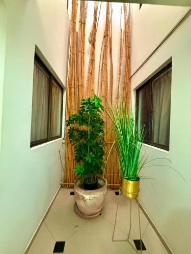 Arica Hotel | Le Grey Arica