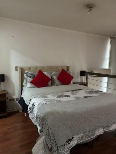Bellas Artes Apartment | Loft Rousse Travel