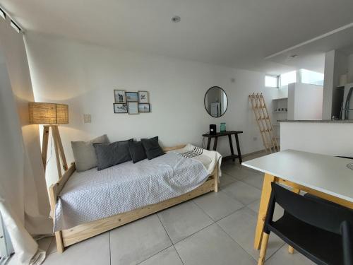 La Plata Apartment | Luminoso Departamento Zona Plaza Paso by Lofter