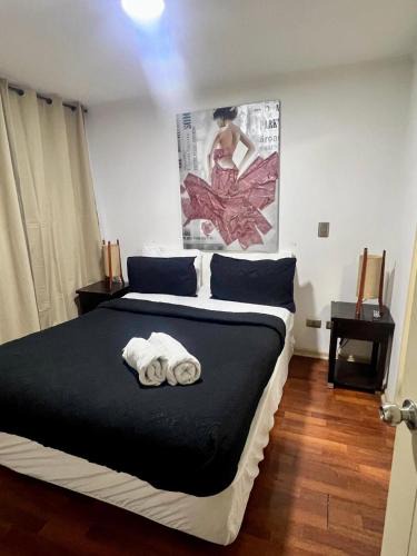 Bellas Artes Apartment | Merced Dptos Santiago Suite