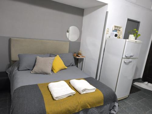 Pasteur Apartment | Monoambiente Gavilan