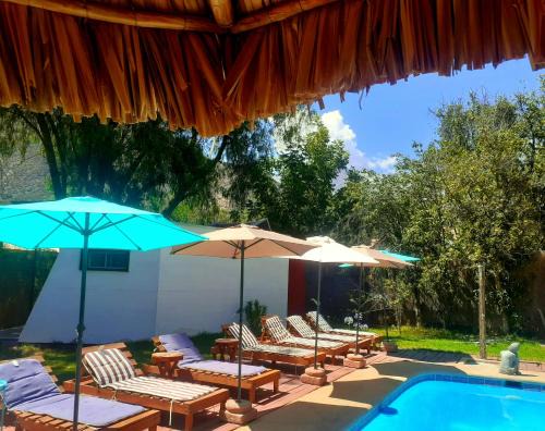 Vicuna Cabin | Organica Lodge Hotel