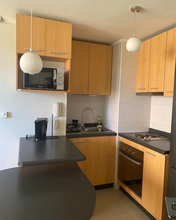 Concepcion Apartment | Parque urbano