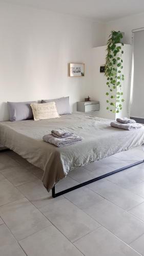 Rio Colorado Apartment | Pisadas II Gerber