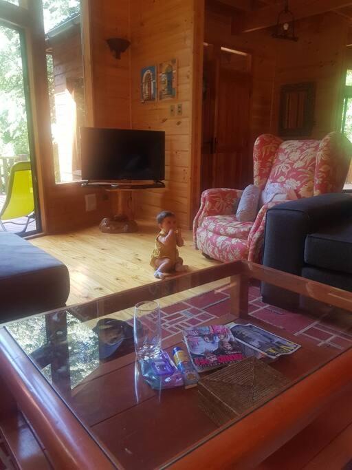 Neltume Apartment | Reserva de Huilo Huilo, el Pudu