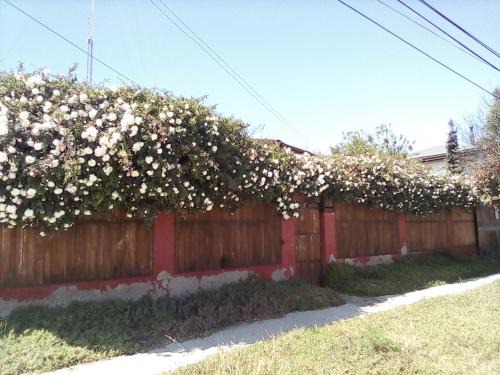 Los Vilos House | ROMA