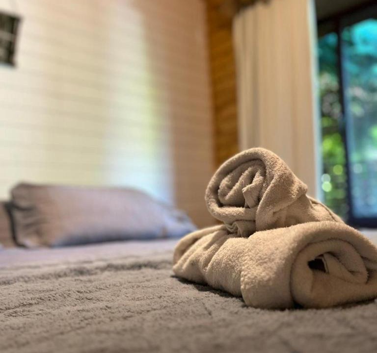 Neltume Apartment | Ruca del Fuy