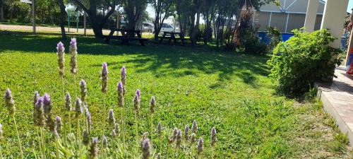 Gualeguaychu Apartment | RULITOS DE SOL