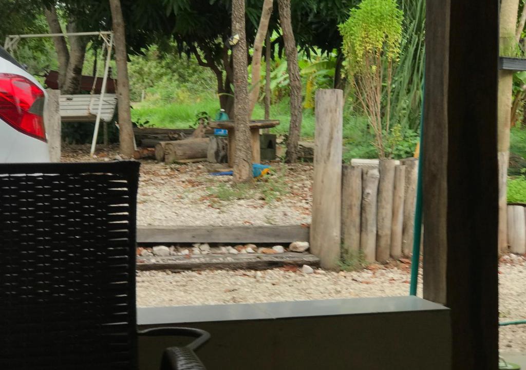 Teresina de Goias House | Sitio Frutas do Cerrado