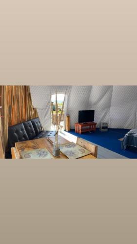 Arauco Other | Spiaggia y Domos