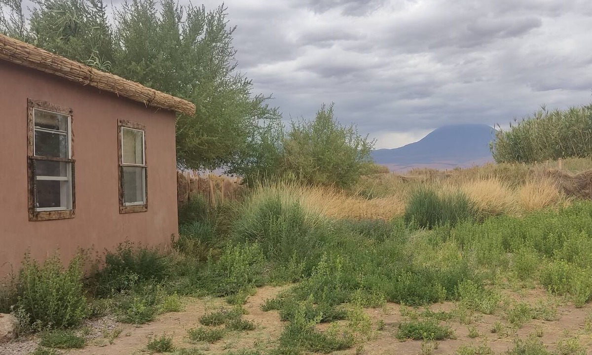 San Pedro de Atacama House | Tiny house container for stargazing; rental car optional, by artist @Paz_Sarrat,