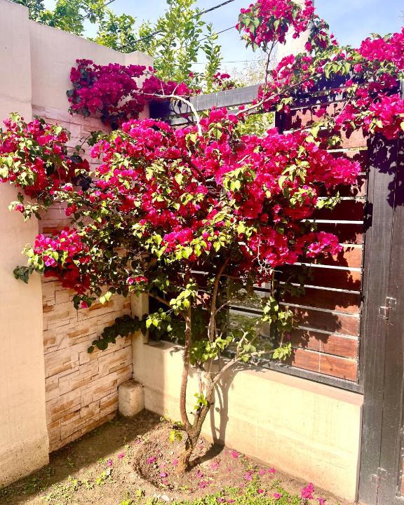 San Salvador de Jujuy Apartment | Verde Limón casa