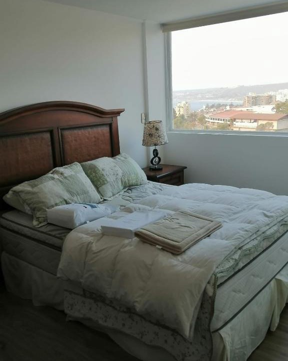Placeres Apartment | Viñavista