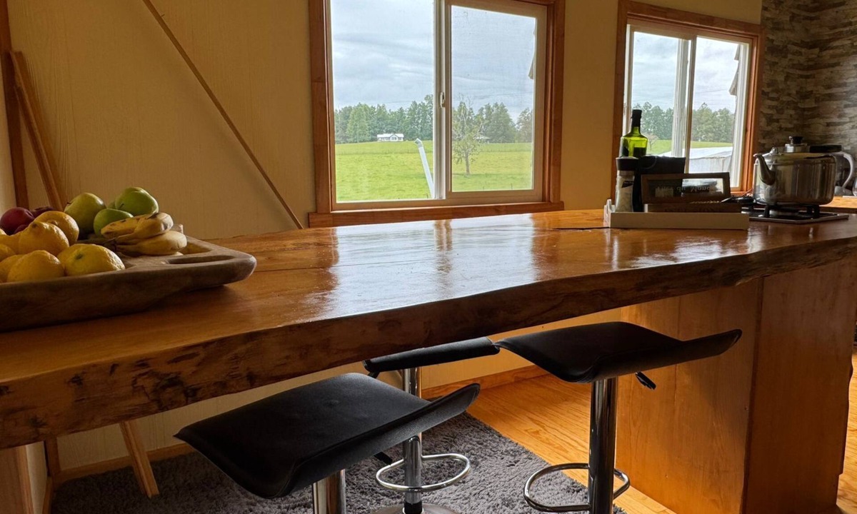 Los Rios House | Wild South Chile