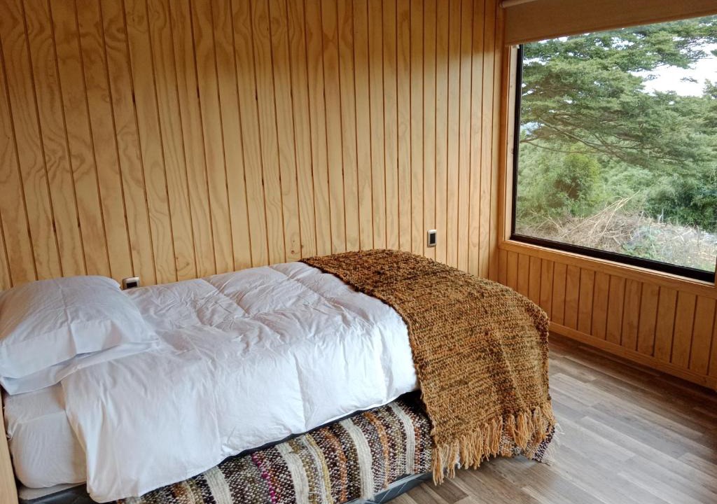 Castro House | Willipeuma