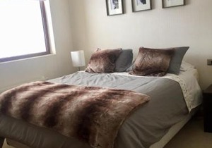 Apartment Valle Nevado