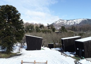 ARAUCANIA PURA - CABINS