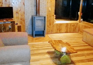 Cabin Chalet Type in Pucon