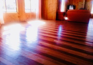 Cabin Chalet Type in Pucon