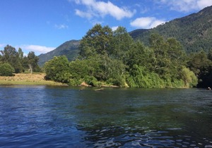 Cabin Chalet Type in Pucon