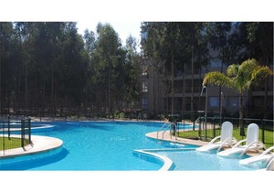 Departamento Algarrobo 424