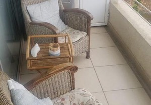 Departamento Laguna Bahia, Algarrobo